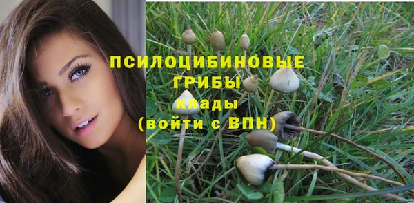 хмурый Алзамай