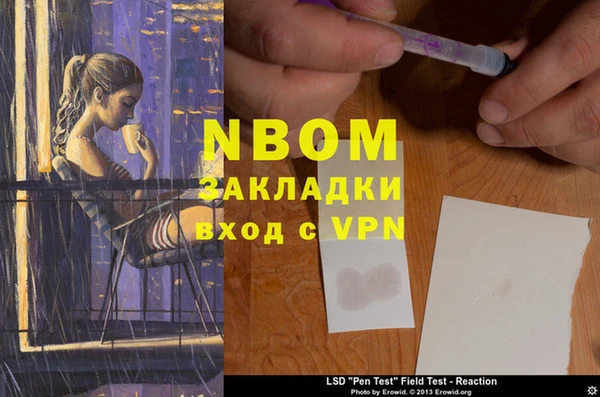 хмурый Алзамай