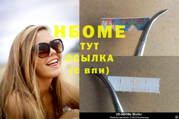 хмурый Алзамай