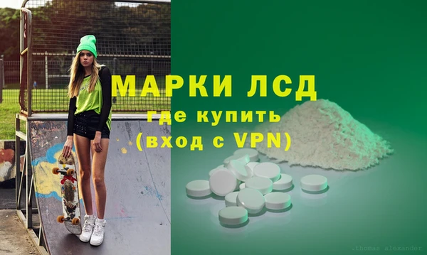 хмурый Алзамай