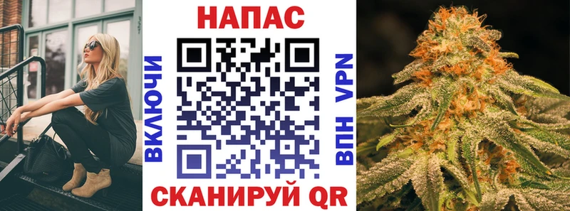 Бошки марихуана план  Приморск 